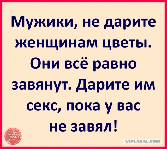 Паршивые картинки
