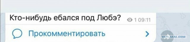 Бредзона (без кудябликов)