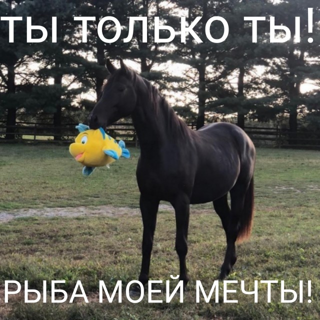 Рыбий кусь
