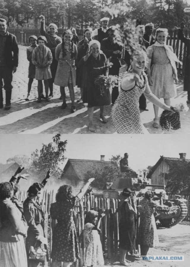 Вам, сталинистам, лишь бы расстрелять...
