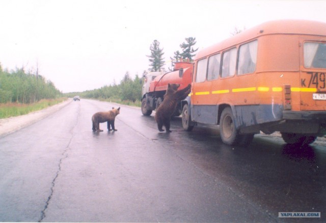 Русские глазами иностранцев