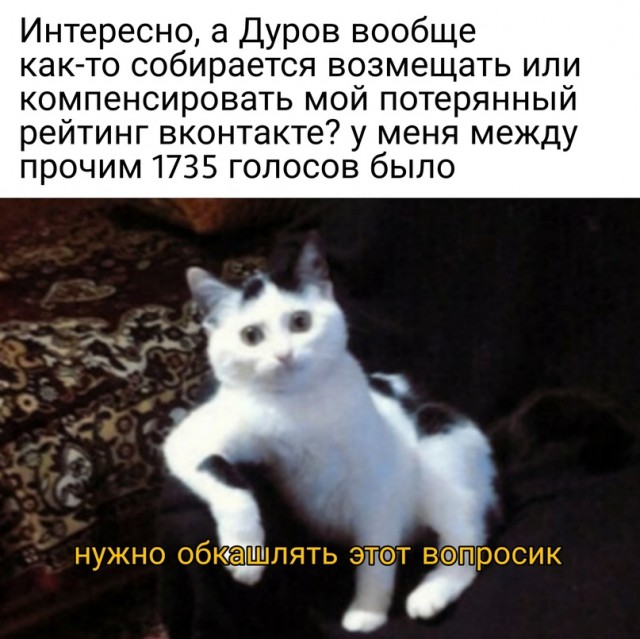 Весёлый полтишок 26.04