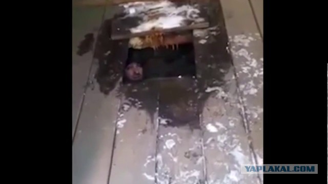 Спасибо Илону Маску. Он доказал, что американцы никогда не были на Луне