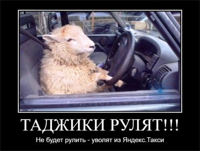 Аморальная деградация