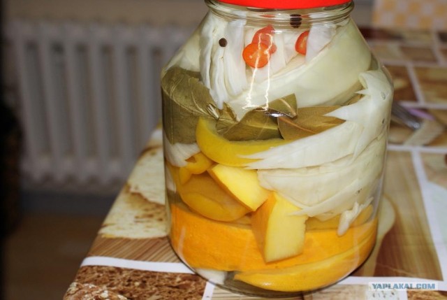 Капуста International, Наступила осень, отцвела капуста...