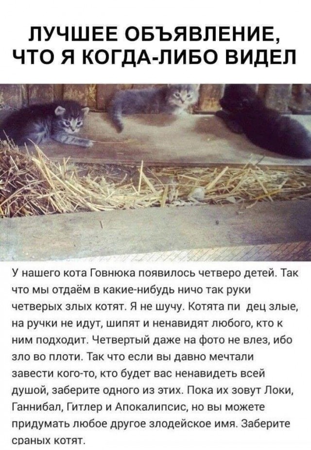 Картинки и мемы для настроения 18.08.2021