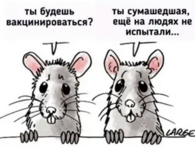 СМИ: Роспотребнадзор скрыл результаты испытаний «ЭпиВакКороны»