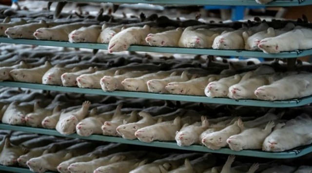 Пандемия. Коронавирус. Россия и мир. Последняя информация. Часть 27