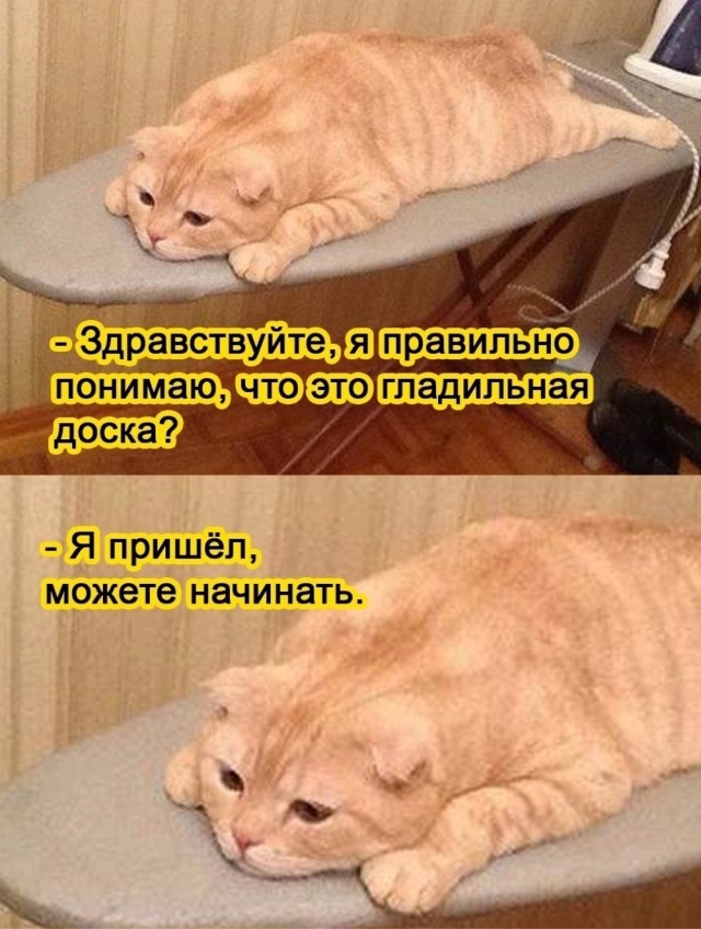 Прикольные и просто красивые картинки 12.01.2022