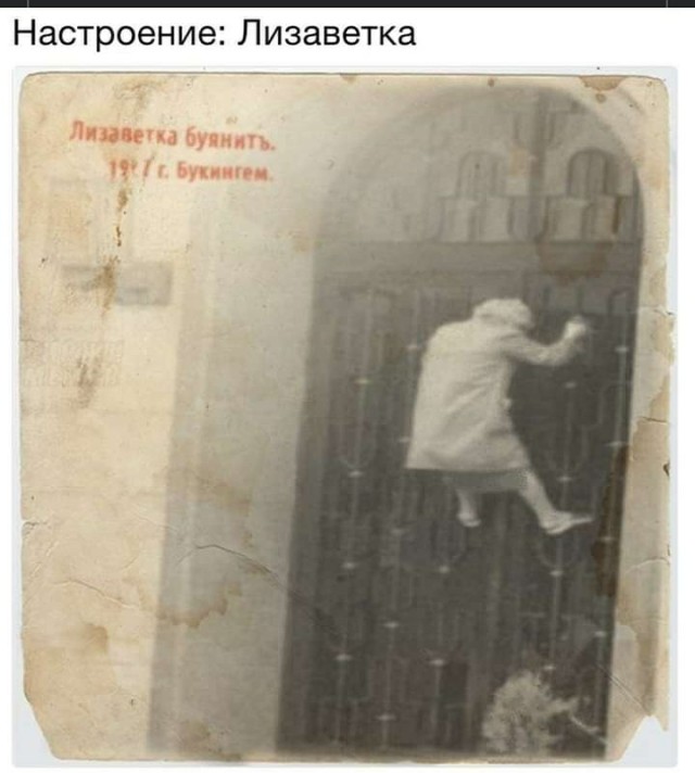 Всяческие картинки 19.01.2022