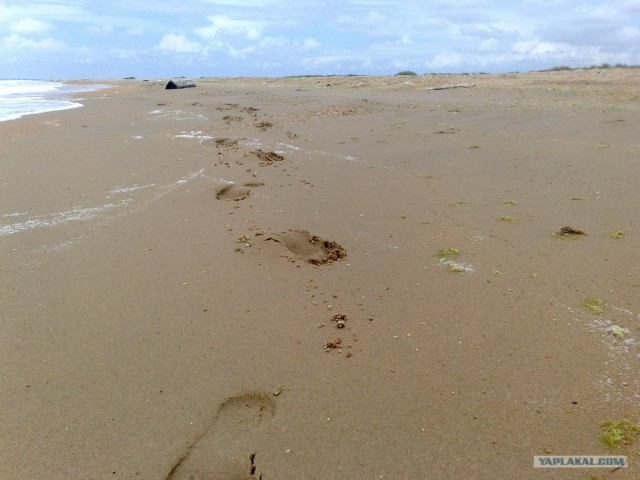 Пенза-Витязево-Пенза