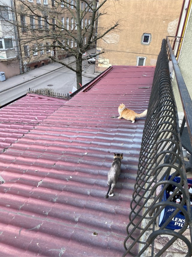 Гаражный грязный Гаря