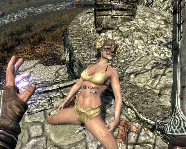 The Elder Scrolls V Skyrim