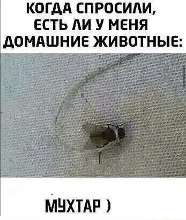 Так себе картинки 27.04.22