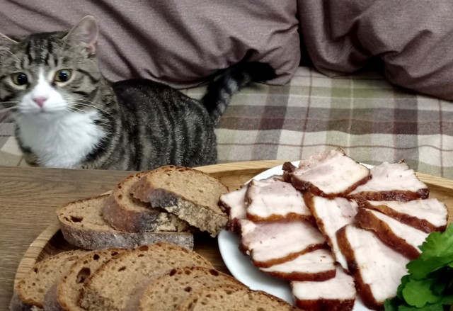 А какая у вас редиска удалась?