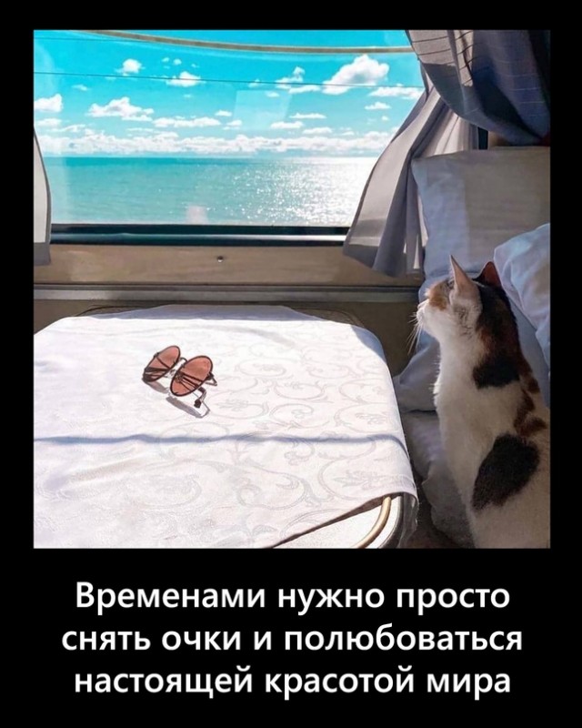 Картинки и мемы, всем хороших выходных