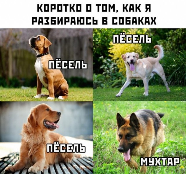 Немного картинок для настроения - 117