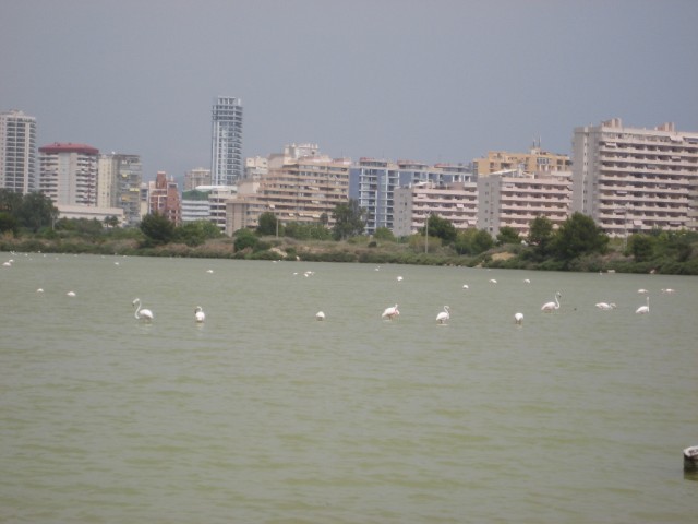 Испания - чудесная страна!