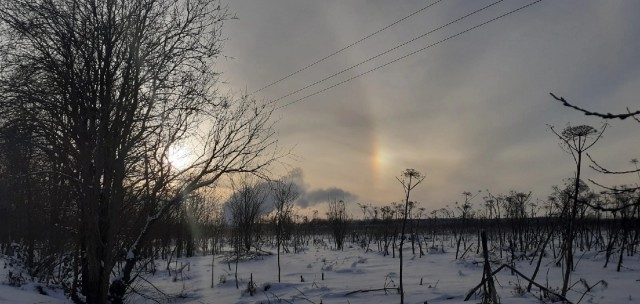 Прикольные и просто красивые картинки 03.01.2023