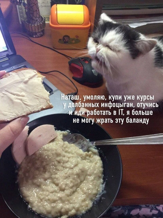 Дичь