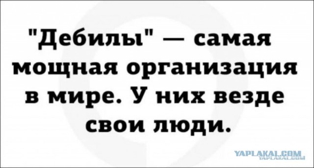 Придурки и тупорылые придурки