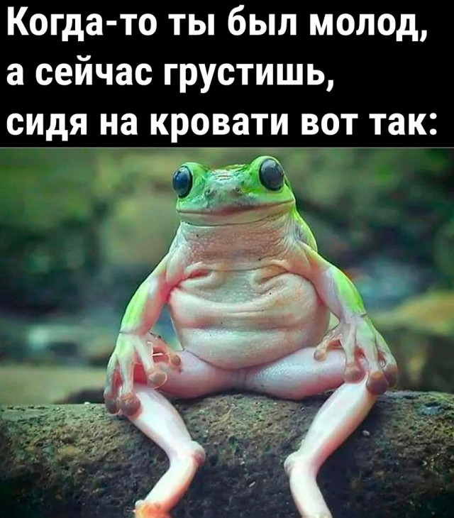 Так себе картинки 08.04.23