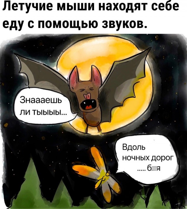 55 разных картинок для настроения - 5