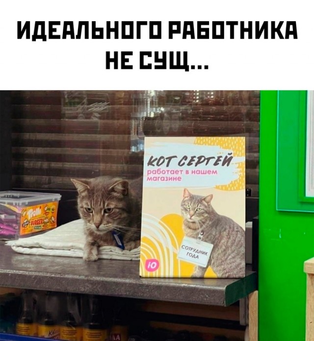 Картинки и мемы, всяко разно - 183