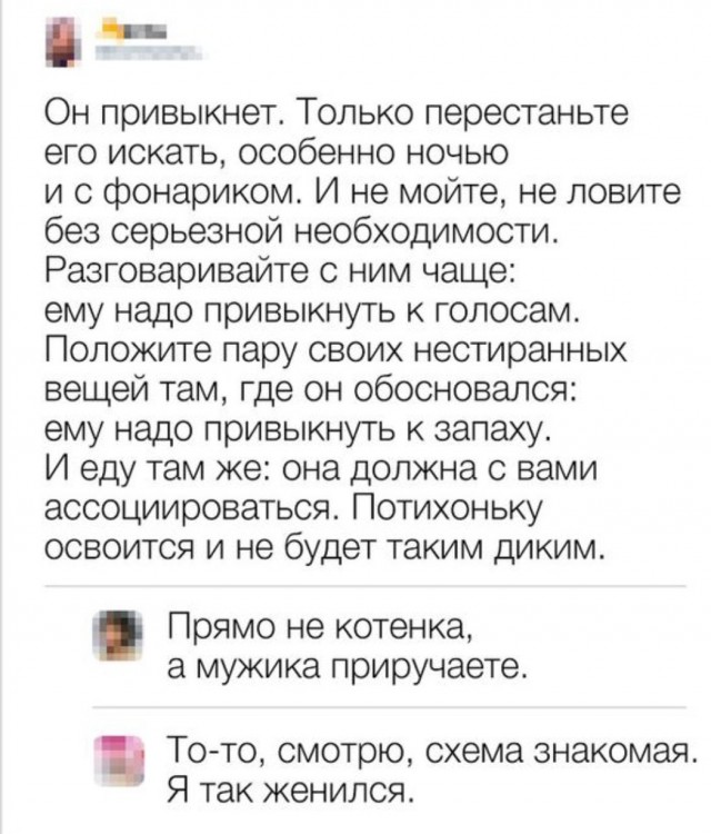 Всего понемногу. От 29.07
