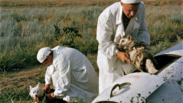 Фотографии из прошлого нашей страны - 36