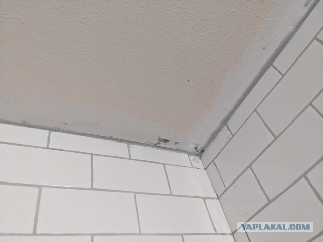 Вот что бывает когда не платишь плиточнику за работу