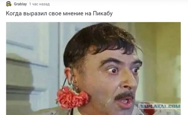 Когда выразил свое мнение на ЯПе