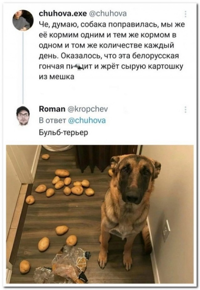 Забавные комментарии из социальных сетей (05.02.24)