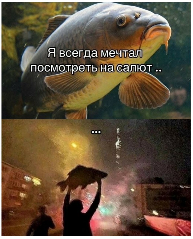Мечты сбываются