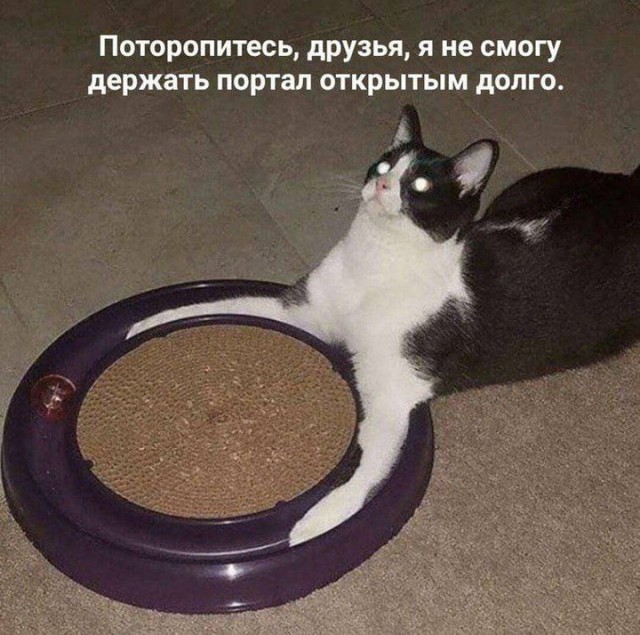 Завалялось тут случайно немного забавных картинок
