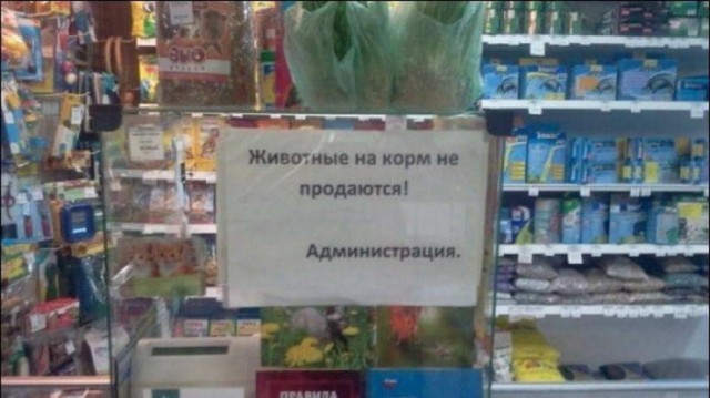 Прикольные и просто красивые картинки 03.09.2024