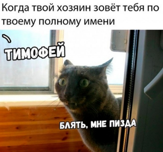 Завалялось тут случайно немного забавных картинок