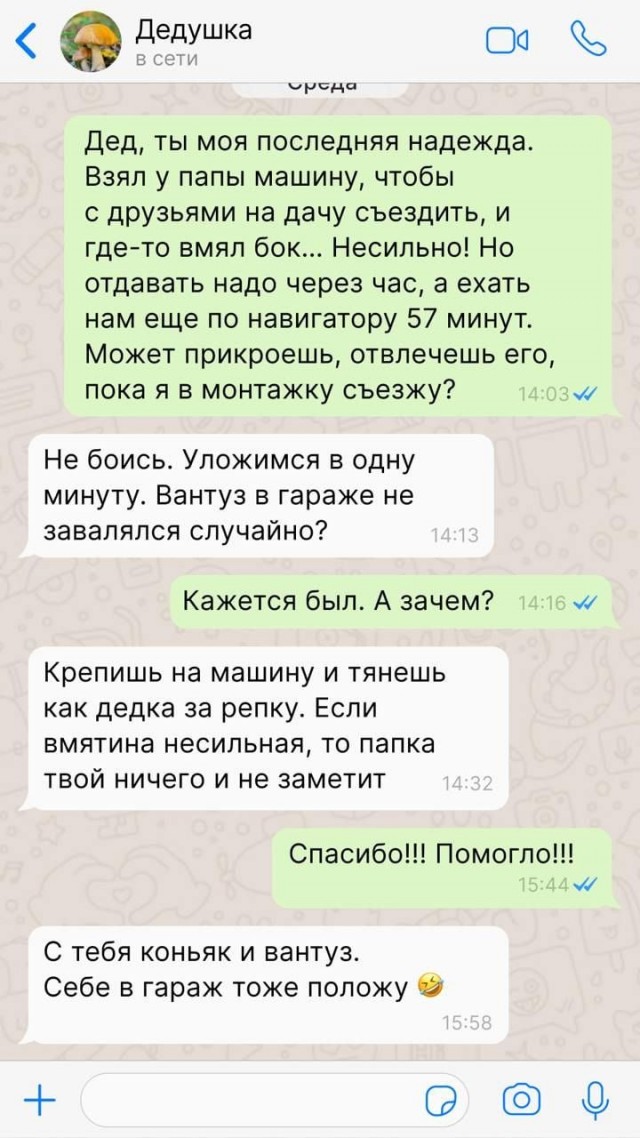 Советы от дедушки на все случаи жизни