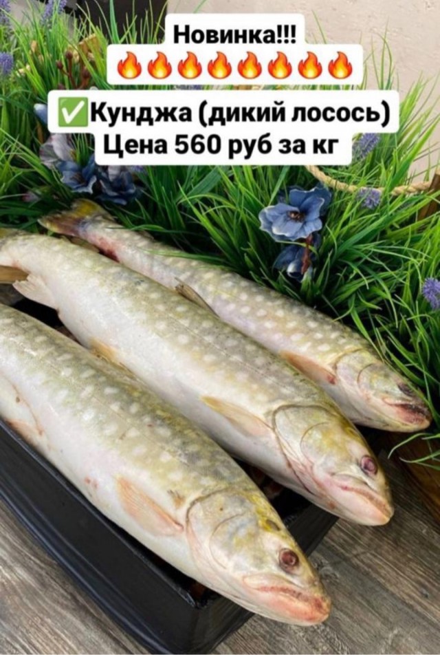 В этот раз всё удачно.