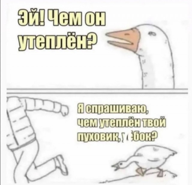Завалялось тут случайно немного забавных картинок