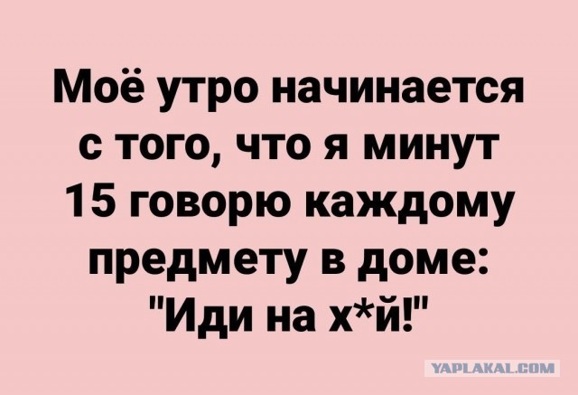 Так себе картинки 18.01.25