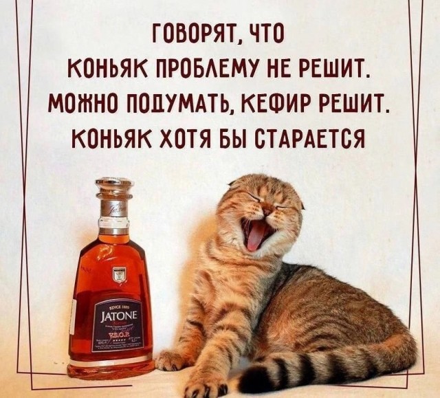 Картинки выходного дня