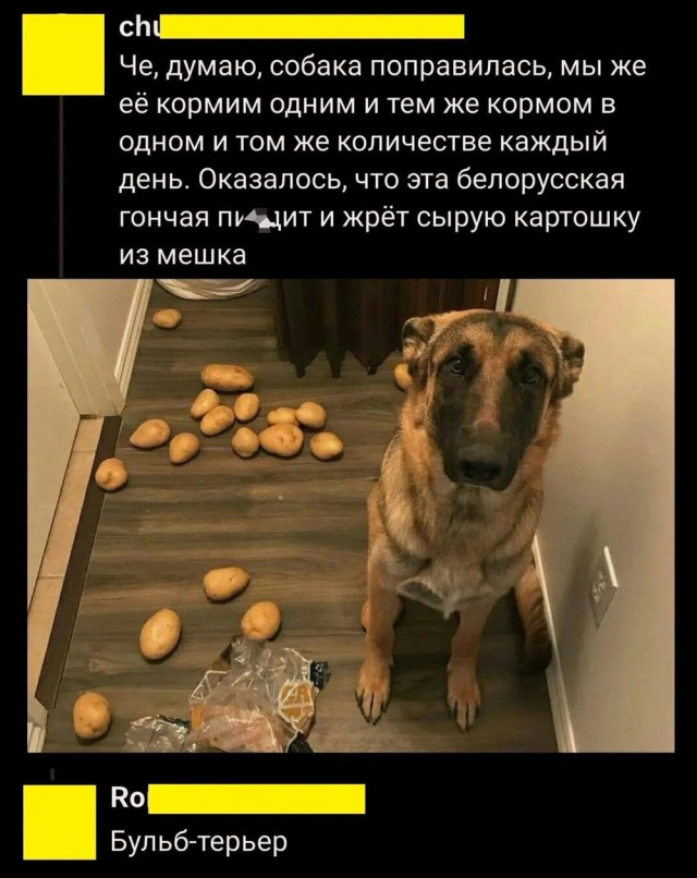Так себе картинки 31.01.25