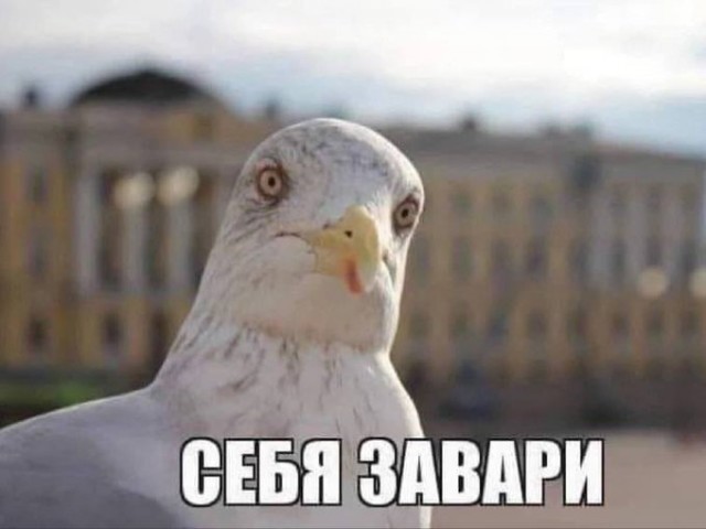 Завалялось тут случайно немного забавных картинок