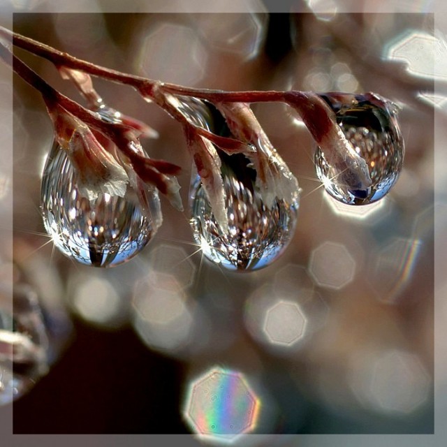 «Ай да Пушкин!». Итоги конкурса стихов