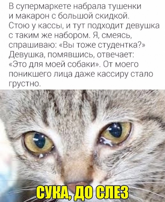 Картинки разные с надписями и без