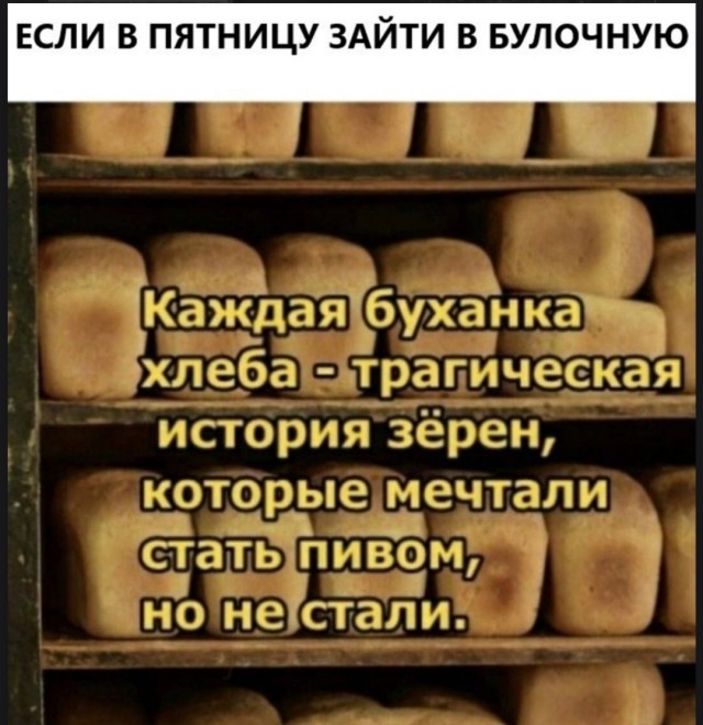 Доброе утро, падонги!