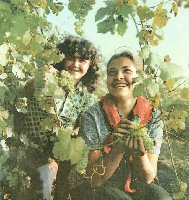 Интересные фотографии 1990 -х. 25.05.25