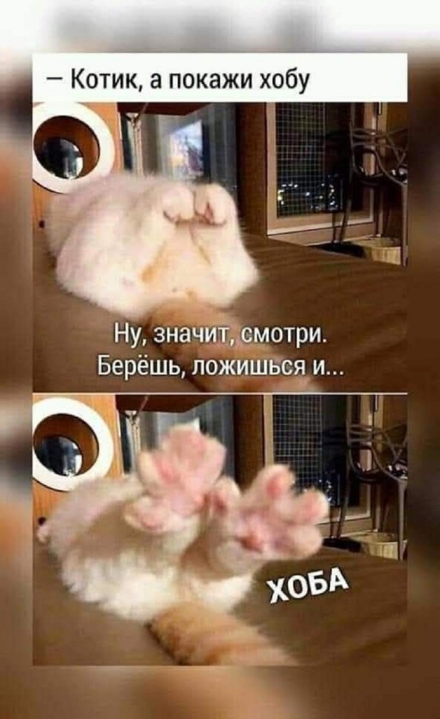 Так себе картинки 01.06.25