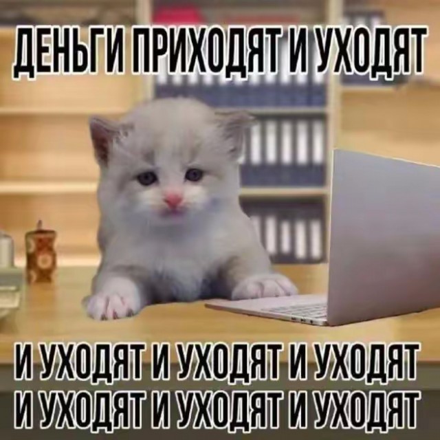 Раб в квадрате. Котовторник же.